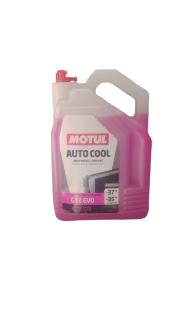 MOTUL AUTO COOL G12 -37^C 5L(PINK COOLANT)